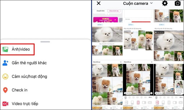 Chọn ảnh