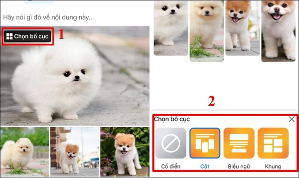 Chọn bố cục